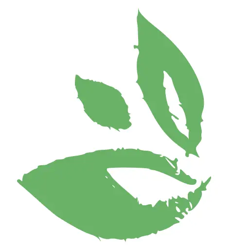 SeedsToday-Blattlogo